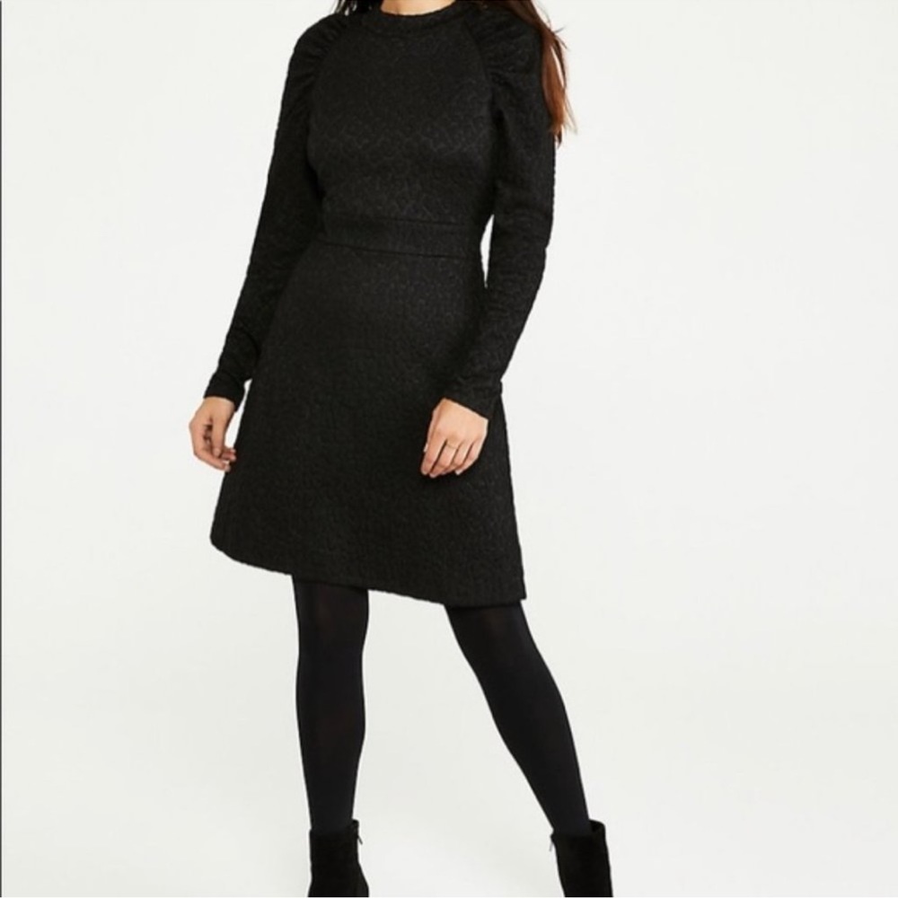 Ann Taylor black A line dress